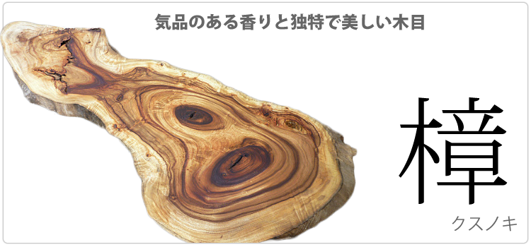 山桜／サクラ「褐色に輝く美しい木肌」